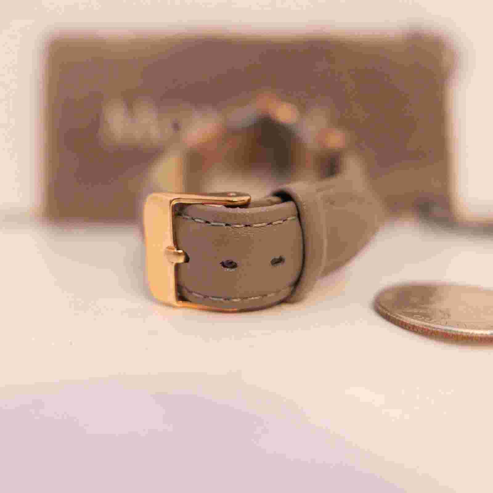 Maestro Monroe Classique Solerose Women's Wristwatch w/ Bag !!!