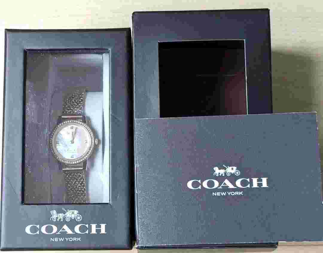 Coach Watch Audrey Shell Dial