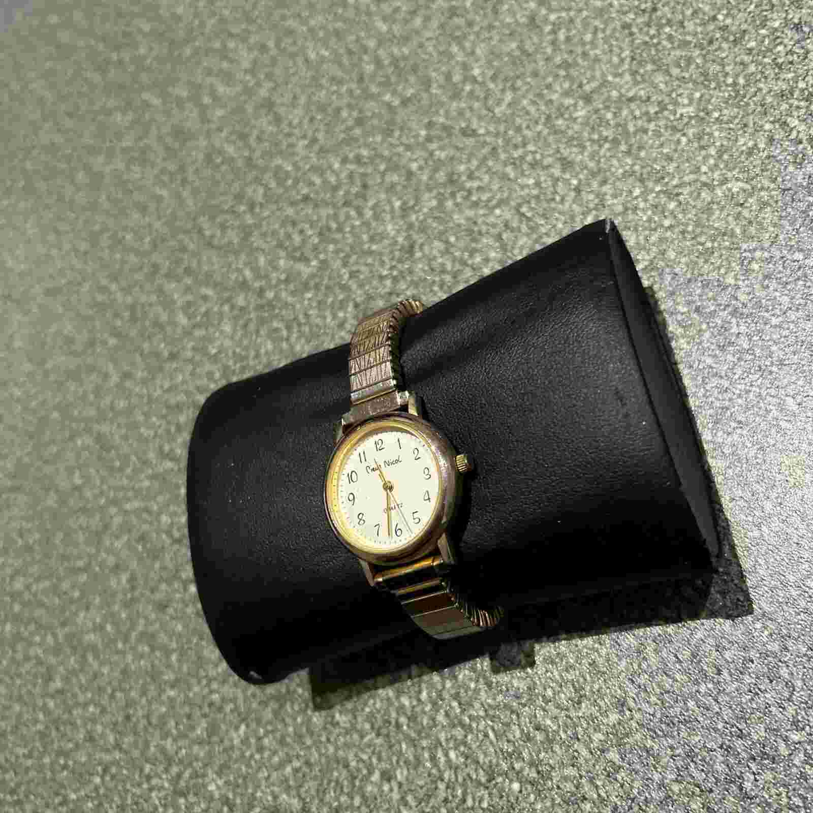 Pierre Nicol Ladies Watch