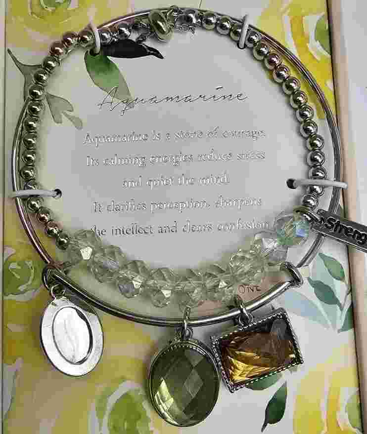 Alexis Bendel SILVER 6942S-42-E28 2 Piece Boxed Watch Set