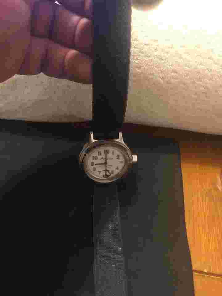 Vostok Europe amphibia