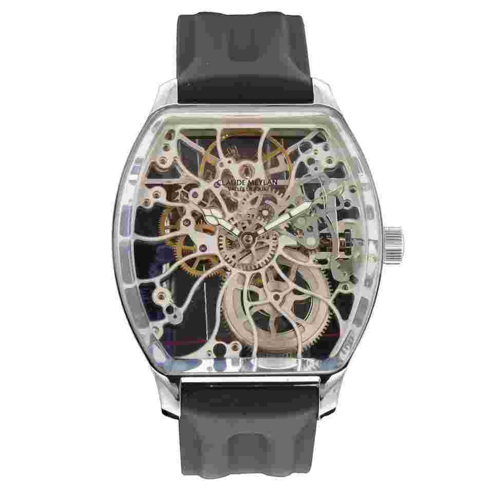 Claude Meylan Turtle skeleton