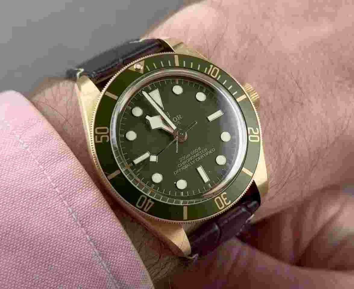 Tudor Black Bay
                           
                                 58 18k 39mm M79018V-0001 G