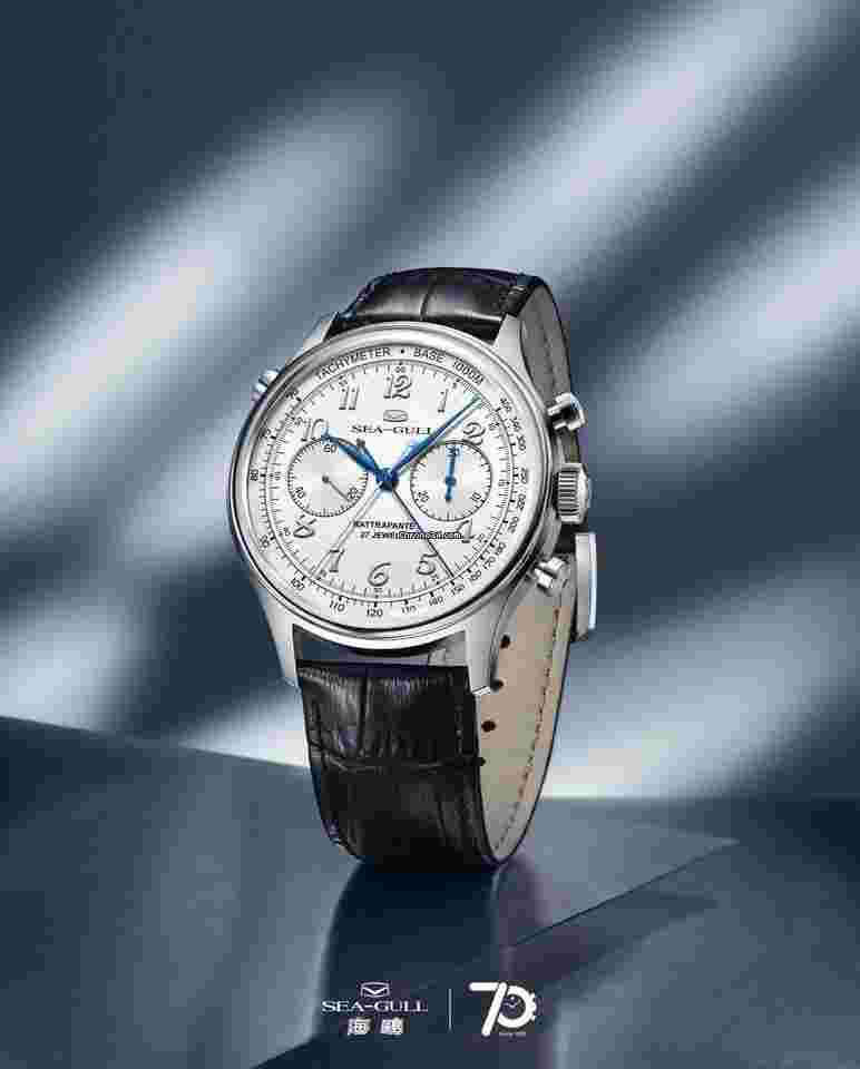 Sea-Gull
                           
                                 Rattrapante