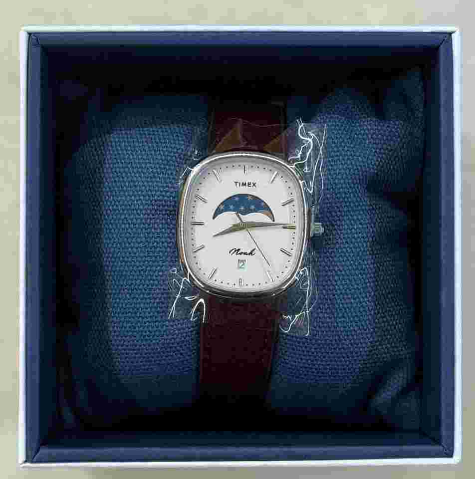 Timex Noah x Timex Oval Moon Phase Watch Steel Brown Strap